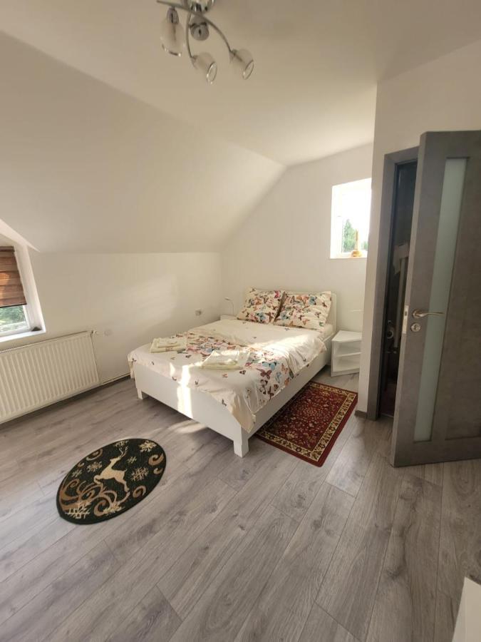 Vila Castelana Căciulata Kültér fotó